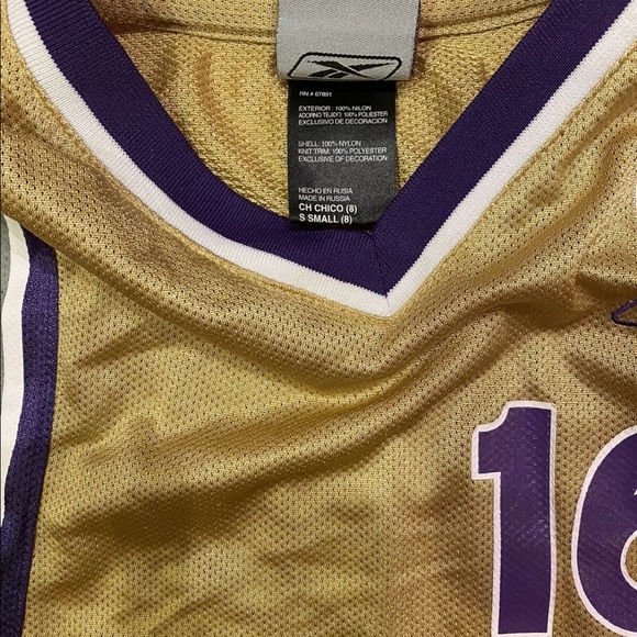 Peja Stojakovic Kings Reebok NBA Swingman Jersey - Picture 3 of 4